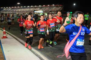 BIB: 
                            <button type="button" onclick="openModal(24119236)" class="btn btn-primary btn-sm float-right btn-popup" data-toggle="modal" data-target=".modal-high-quality">
                        <i class="fas fa-shopping-cart"></i> Add to Cart
                    </button>
                                            <button type="button" onclick="isThisMe(24119236, true)" class="btn btn-success btn-sm float-right btn-popup btn-isme hidden" data-toggle="tooltip" data-placement="bottom" title="นี่คือรูปของคุณใช่ไหม คลิกที่นี่เพื่อเอาเข้าอัลบั้ม">
                        <i class="fas fa-plus"></i> Add to album
                    </button>
                    <button type="button" onclick="isThisMe(24119236, false)" class="btn btn-warning btn-sm float-right btn-popup btn-isnotme hidden">
                        <i class="fas fa-ban"></i> Remove from album
                    </button>